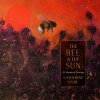 The Bee and the Sun - Hyde, Catherine The Bee and the Sun - Hyde, Catherine