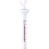 GLOBIZ Teplomer do bazéna – 19x5 cm GLOBIZ Teplomer do bazéna – 19x5 cm