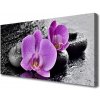 Obraz Canvas Orchidea kvety kamene zen 100x50 cm Obraz Canvas Orchidea kvety kamene zen 100x50 cm