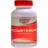 VemoHerb Beta Ecdysterone 90 tablet VemoHerb Beta Ecdysterone 90 tablet