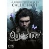 Quicksilver - tome 1 (version française - édition brochée) Quicksilver - tome 1 (version française - édition brochée)