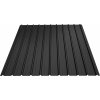 Plotový obojstranne farebný plech Bilka T12, 2000 x 1140mm RAL 9005 (čierna) matná