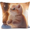 Zamatová obliečka na vankúš pes, mačka 45x45 cm - 1 ks 1 béžová tm. mačka Zamatová obliečka na vankúš pes, mačka 45x45 cm - 1 ks 1 béžová tm. mačka