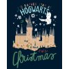 ZUTY Maľovanie podľa čísel - VIANOCE V RHOKFORTHE(HARRY POTTER) Rámovanie: vypnuté plátno na rám, Rozmer: 40x50 cm ZUTY Maľovanie podľa čísel - VIANOCE V RHOKFORTHE(HARRY POTTER) Rámovanie: vypnuté plátno na rám, Rozmer: 40x50 cm