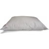 Kamýk Daunen Páperový vankúš Cannstatter Pillow Premium – husacie páperie Bavlna de luxe 70x90 cm Kamýk Daunen Páperový vankúš Cannstatter Pillow Premium – husacie páperie Bavlna de luxe 70x90 cm