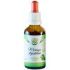 Salvia Paradise Moringa olejodárná bezalkoholová tinktura kvapky na detoxikáciu organizmu a podporu imunity 50 ml Salvia Paradise Moringa olejodárná bezalkoholová tinktura kvapky na detoxikáciu organizmu a podporu imunity 50 ml