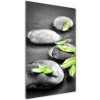 Vertikálny foto obraz sklenený Lístie kamenia zen 50x100 cm Vertikálny foto obraz sklenený Lístie kamenia zen 50x100 cm
