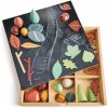 Drevená zbierka lesných pokladov My Forest Floor Tender Leaf Toys s kamienkami listami chrobáčikmi Drevená zbierka lesných pokladov My Forest Floor Tender Leaf Toys s kamienkami listami chrobáčikmi