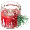 VIANOČNÁ SVIEČKA DEKORÁCIA v pohári 315 g VIANOČNÁ SVIEČKA DEKORÁCIA v pohári 315 g