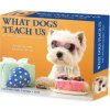 What Dogs Teach Us 2026 5.4 X 6.2 Box Calendar (Kalendár) What Dogs Teach Us 2026 5.4 X 6.2 Box Calendar (Kalendár)