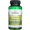 Swanson Indická Kopřiva Coleus Forskohlii 400 mg 60 kapsúl Swanson Indická Kopřiva Coleus Forskohlii 400 mg 60 kapsúl