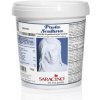 Saracino Modelovacia hmota biela z čokoládovej polevy (1 kg) Saracino Modelovacia hmota biela z čokoládovej polevy (1 kg)