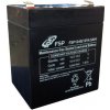FSP 12V/4.5Ah batéria pre UPS FSP MPF0003700GP FSP 12V/4.5Ah batéria pre UPS FSP MPF0003700GP
