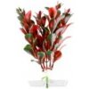 JK Animals Red Ludwigia 13-16 cm JK Animals Red Ludwigia 13-16 cm