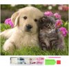 Diamantové maľovanie Šteňa a mačiatko 30X40cm Diamantové maľovanie Šteňa a mačiatko 30X40cm