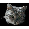 Zuty – Maľovanie Podľa Čísel – Sivá Mačka Portrét, 80 × 100 cm, Plátno + Rám 8596530094432 Zuty – Maľovanie Podľa Čísel – Sivá Mačka Portrét, 80 × 100 cm, Plátno + Rám 8596530094432