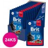 BRIT Cat Adult Premium kapsička Beef Stew & Peas 24x100g BRIT Cat Adult Premium kapsička Beef Stew & Peas 24x100g