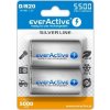 everActive silver line D 5500 mAh 2ks EVHRL20-5500 everActive silver line D 5500 mAh 2ks EVHRL20-5500
