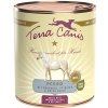 Ekonomické balenie Terra Canis 12 x 800 g - Kôň s amarantom, broskyňou a červenou repou Ekonomické balenie Terra Canis 12 x 800 g - Kôň s amarantom, broskyňou a červenou repou