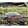 Wobler ILLEX Tricoroll 55 S - Mat Rainbow Trout Wobler ILLEX Tricoroll 55 S - Mat Rainbow Trout