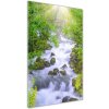 Vertikálny foto obraz fotografie na skle Horský potok 50x100 cm Vertikálny foto obraz fotografie na skle Horský potok 50x100 cm