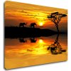 Impresi Obraz Safari západ slunce - 70 x 50 cm Impresi Obraz Safari západ slunce - 70 x 50 cm