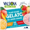 Valsoia zmrzlina Ovocný mix 4x129 ml Valsoia zmrzlina Ovocný mix 4x129 ml