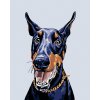 zuty Maľovanie podľa čísel - Doberman, 40x50 cm, vypnuté plátno na rám (8596530011774) zuty Maľovanie podľa čísel - Doberman, 40x50 cm, vypnuté plátno na rám (8596530011774)