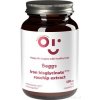 Beggs Iron bisglycinate 20 mg + rosehip extract 100 kapsúl Beggs Iron bisglycinate 20 mg + rosehip extract 100 kapsúl