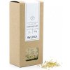 Bylinca Bylinka - Čierny bez kvet 60g Bylinca Bylinka - Čierny bez kvet 60g