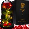 Malatec Ruža v skle svietiaca Malatec Ruža v skle svietiaca