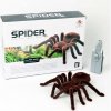 CUTE S.TOY No.787 RC Pavúk na diaľkové ovládanie veľký CUTE S.TOY No.787 RC Pavúk na diaľkové ovládanie veľký