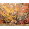 ZUTY Maľovanie podľa čísel - LÍŠKA V LESE (D. RUSTY RUST) Rámovanie: bez rámu a bez vypnutia plátna, Rozmer: 80x100 cm ZUTY Maľovanie podľa čísel - LÍŠKA V LESE (D. RUSTY RUST) Rámovanie: bez rámu a bez vypnutia plátna, Rozmer: 80x100 cm