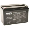 MHPower MS100-12 12V 100Ah