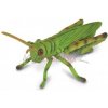 Collecta Kobylka luční