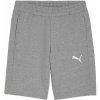 Puma teamGOAL Casuals Shorts Jr 658609-33