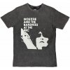 Siouxsie and the Banshees At The Bbc šedá