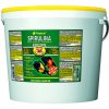 TROPICAL Spirulina Forte 36% 5L/ 1 kg TROPICAL Spirulina Forte 36% 5L/ 1 kg