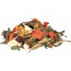 Trixie Mix pre agamy fúzaté 100 g