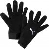 Puma teamLiga 21 Winter s M 041706-01
