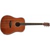 Tanglewood TUN5E