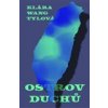 Ostrov duchů - Wang Tylová Klára Ostrov duchů - Wang Tylová Klára