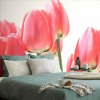 Fototapeta červené poľné tulipány Fototapeta červené poľné tulipány