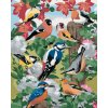 zuty Maľovanie podľa čísel - Vtáky a biele kvety (Howard Robinson), 40x50 cm, bez rámu a bez vypnutia plát (8596530063049) zuty Maľovanie podľa čísel - Vtáky a biele kvety (Howard Robinson), 40x50 cm, bez rámu a bez vypnutia plát (8596530063049)