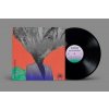 EVERYTHING EVERYTHING - MOUNTAINHEAD (1VINYL) EVERYTHING EVERYTHING - MOUNTAINHEAD (1VINYL)