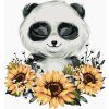 zuty Zuty - Maľovanie Podľa Čísel - Panda So Slnečnicami, 40X50 Cm, Plátno (8596530076964) zuty Zuty - Maľovanie Podľa Čísel - Panda So Slnečnicami, 40X50 Cm, Plátno (8596530076964)