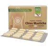 MasticLife Chioska Masticha 350 mg 40 kapsúl MasticLife Chioska Masticha 350 mg 40 kapsúl
