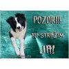 Pozorpes.sk, výstražná tabuľka (Border kólia) Pozorpes.sk, výstražná tabuľka (Border kólia)