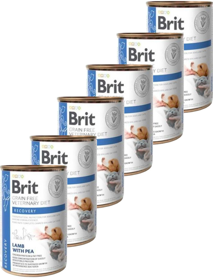 Brit Veterinary Diets GF cat Recovery 6 x 0,4 kg