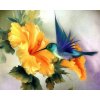 Gaira Diamantové maľovanie Kolibrík D0509 Gaira Diamantové maľovanie Kolibrík D0509